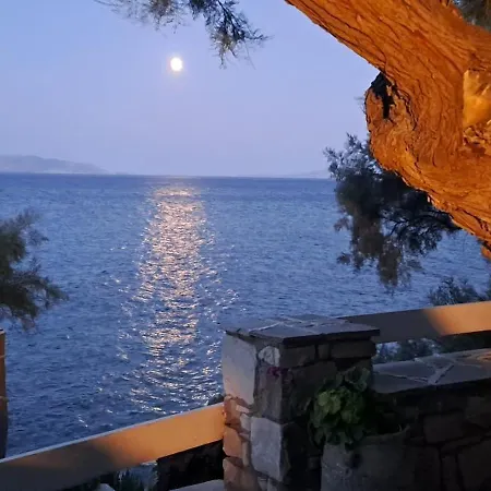 Dinas * ピソ ・リバディ