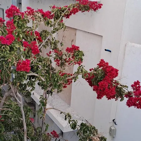 Dinas Appartement Piso Livadi