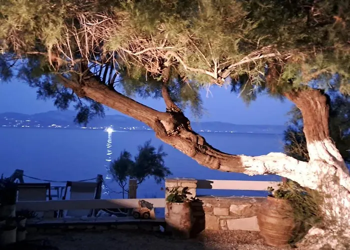 Dinas Διαμέρισμα