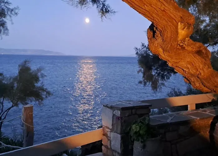 Dinas * Πίσω Λιβάδι