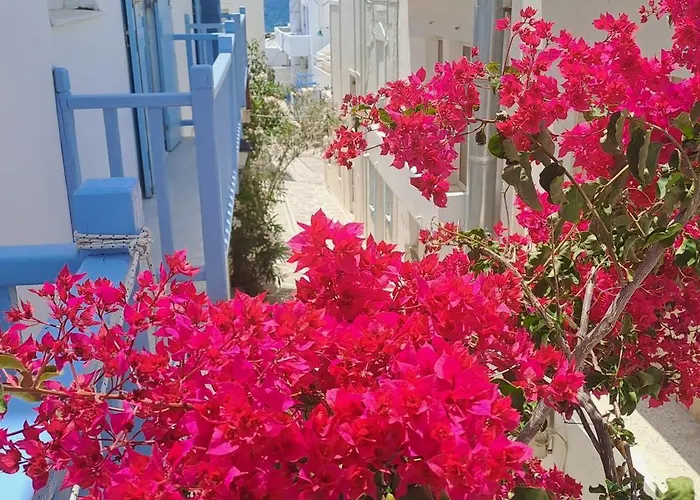 Dinas Διαμέρισμα *